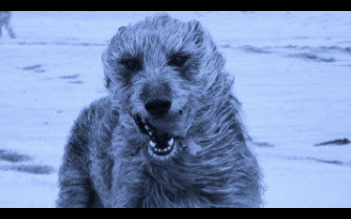 Méditation positive