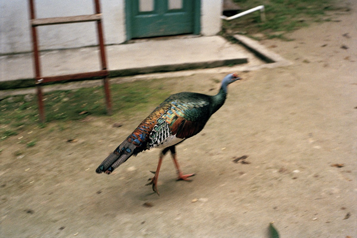 Weather of Thresholds