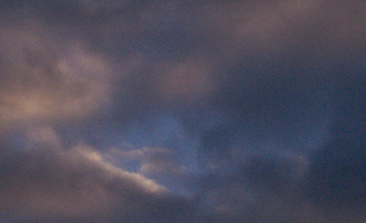 À la mer sans Camille