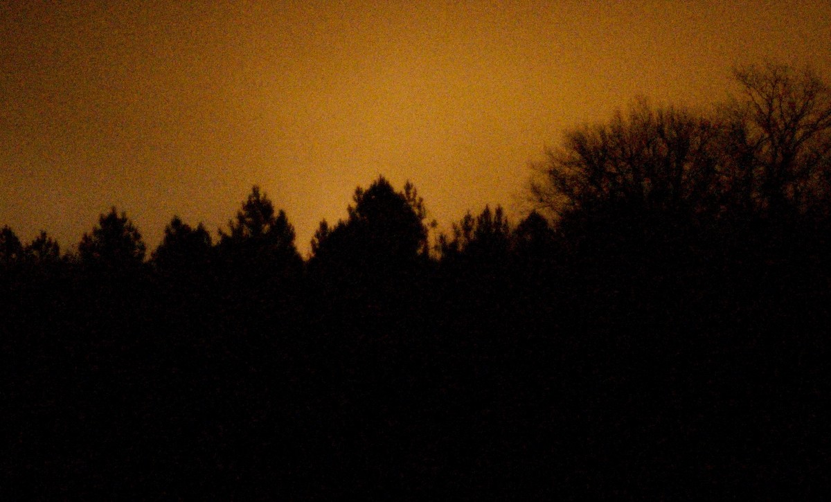 À la mer sans Camille