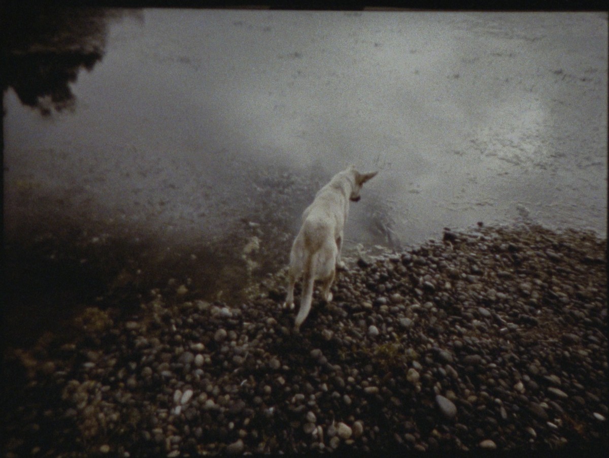 La Partida de las Imágenes (Le départ des images)