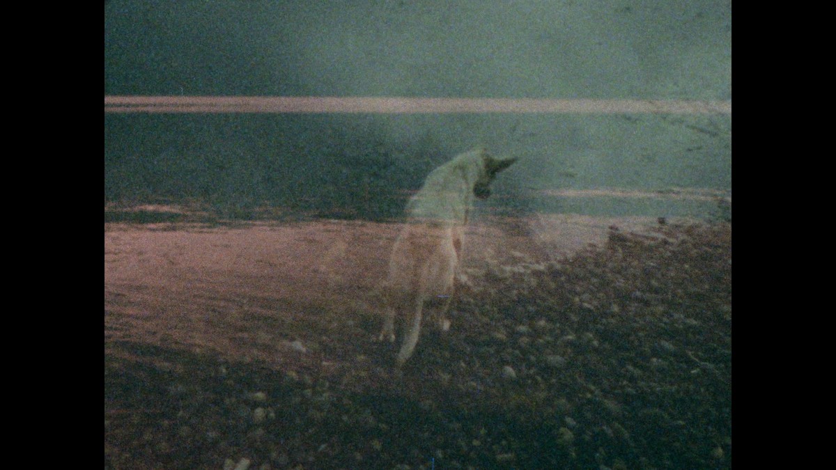 La Partida de las Imágenes (Le départ des images)