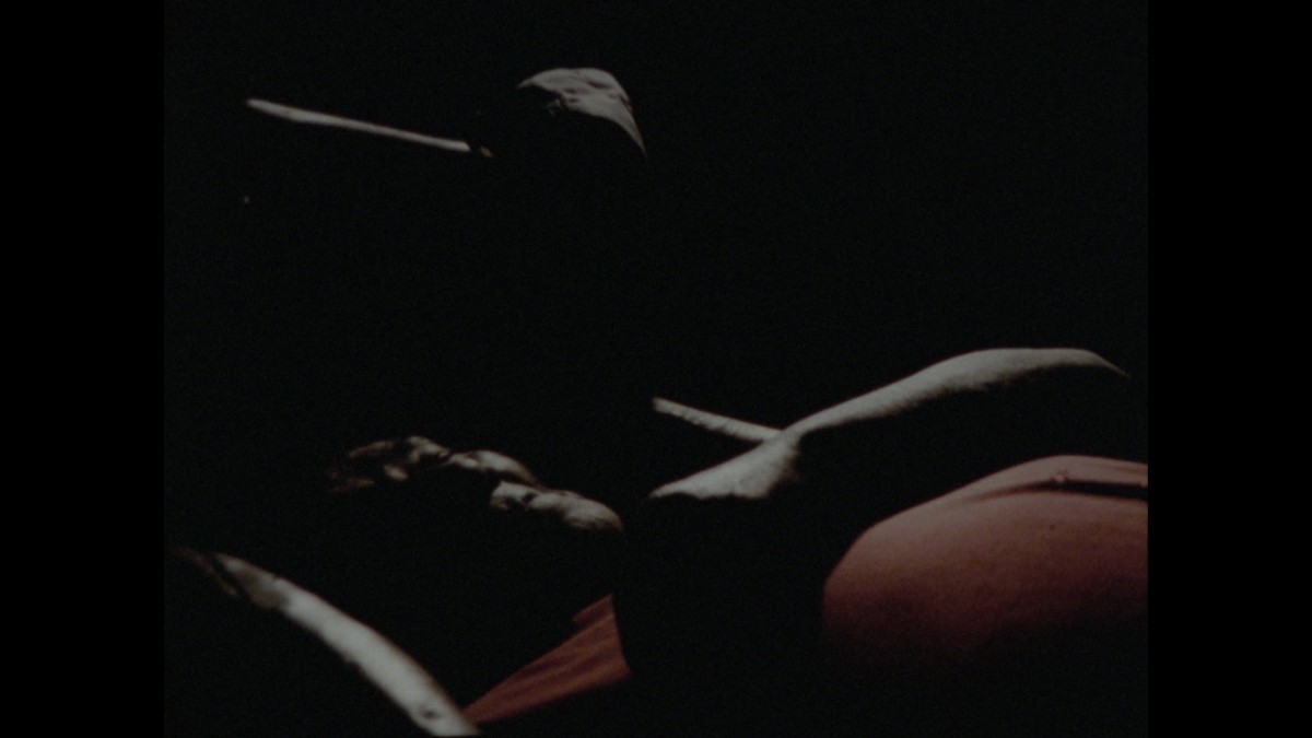 La Partida de las Imágenes (Le départ des images)