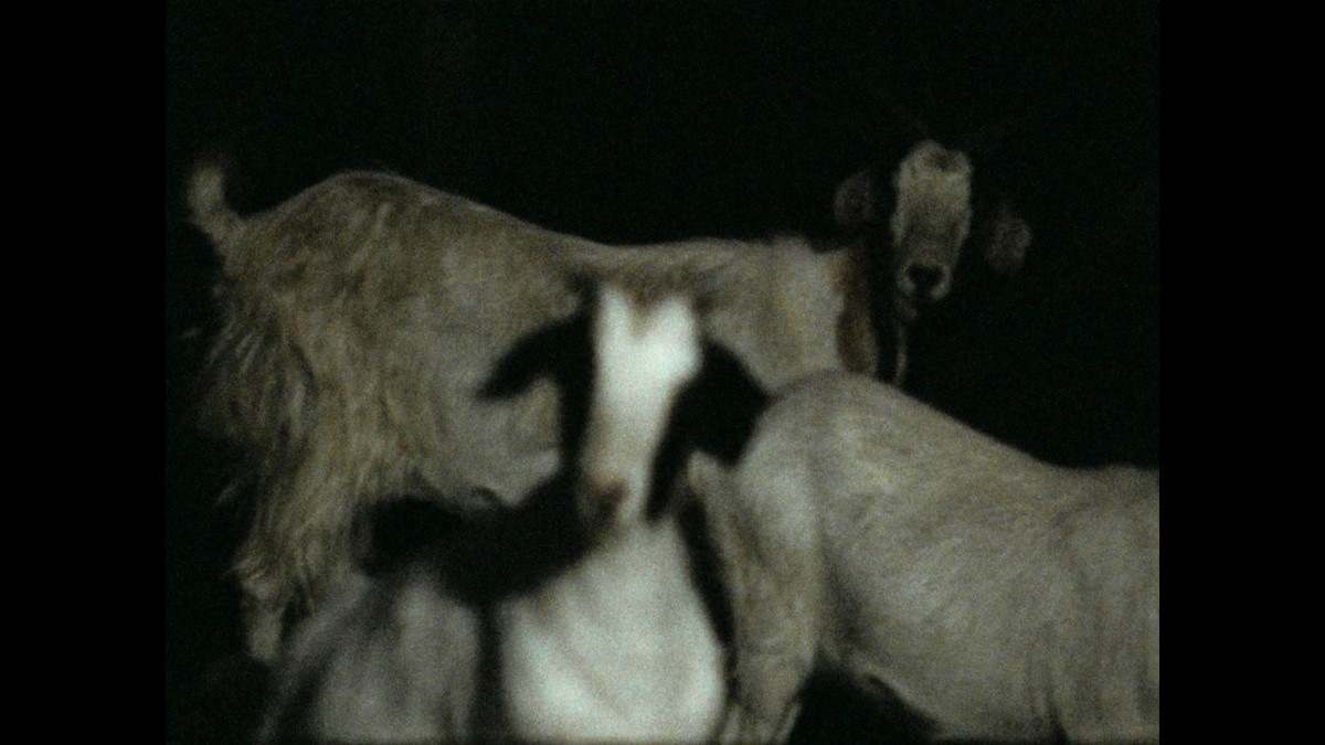 La Partida de las Imágenes (Le départ des images)