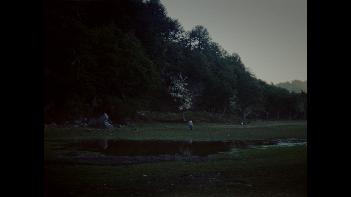 La Partida de las Imágenes (Le départ des images)