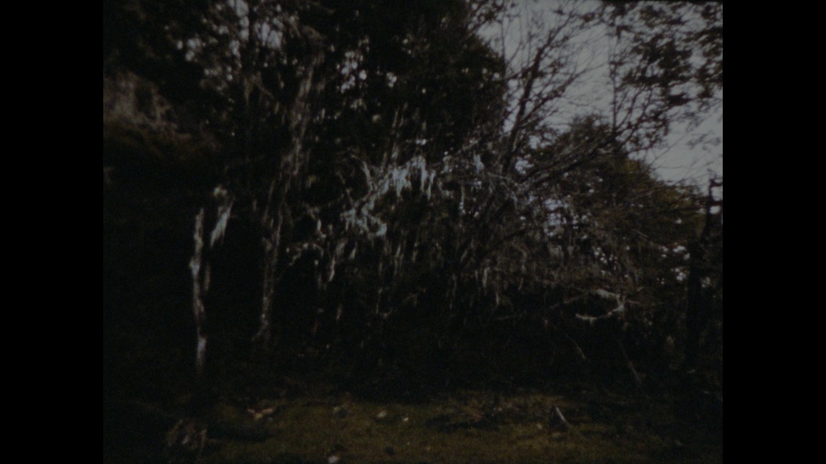 La Partida de las Imágenes (Le départ des images)