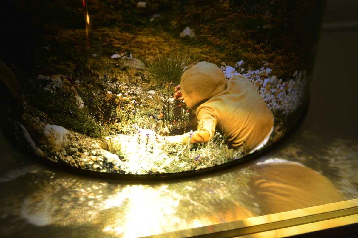 Herramientas de distancia y cercanía