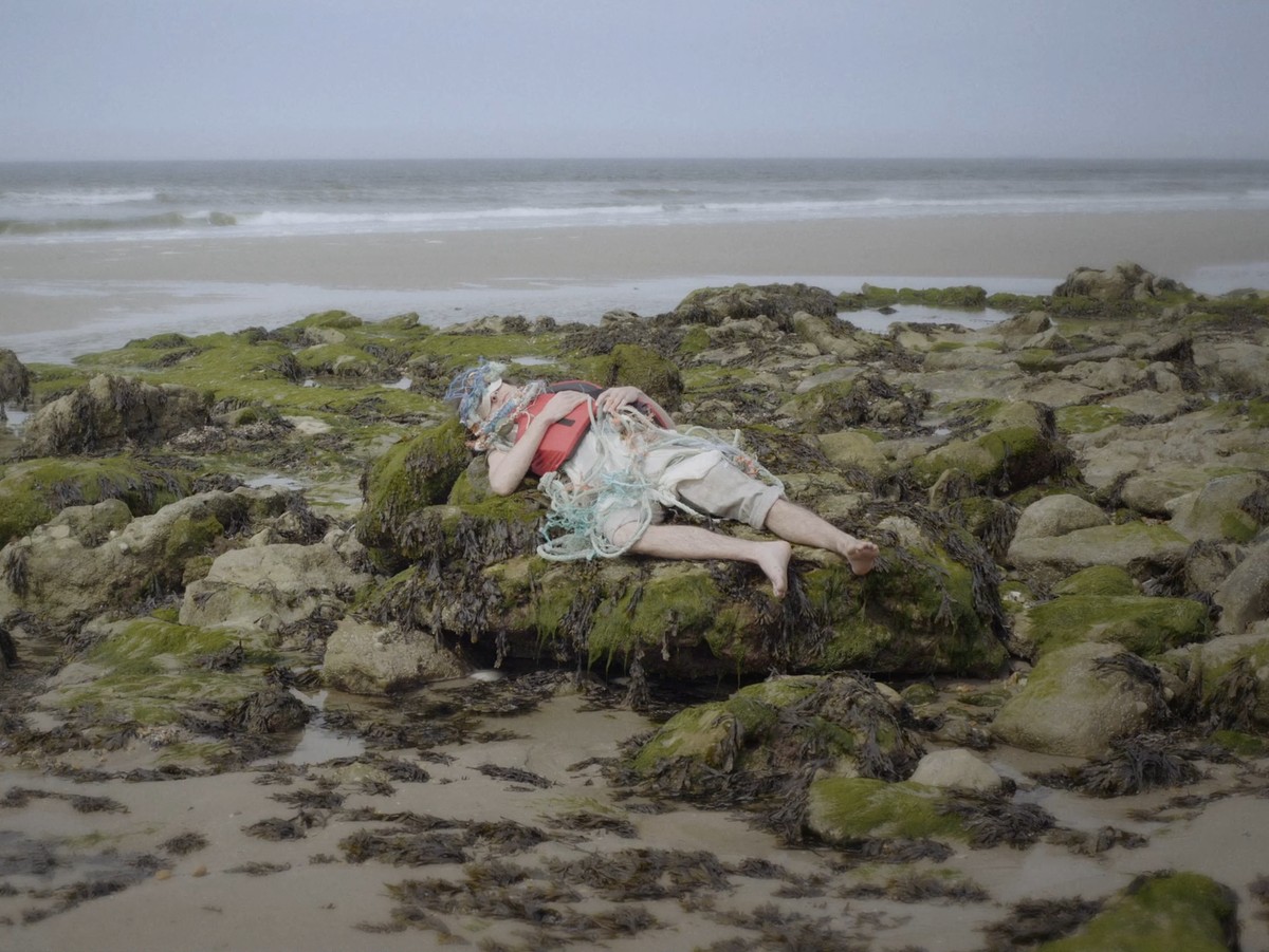 Comme les saumons et les truites