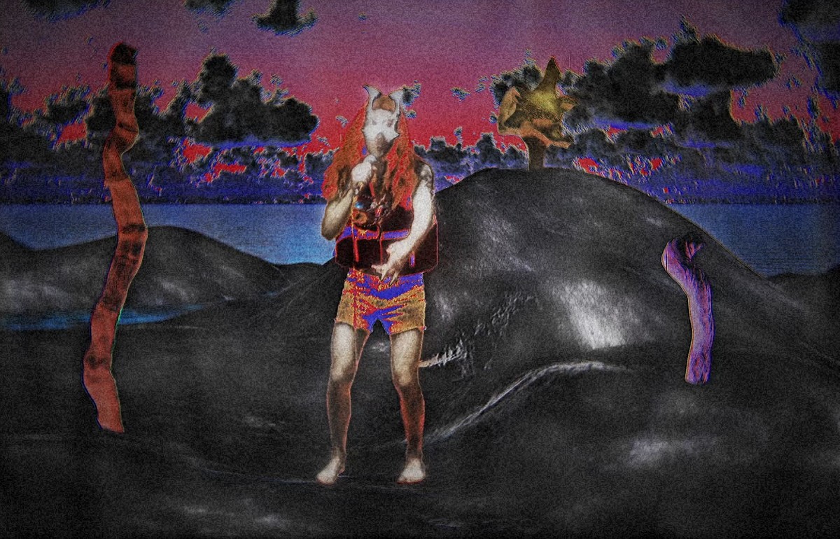 Comme les saumons et les truites