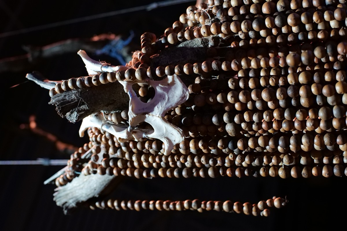 Comme les saumons et les truites