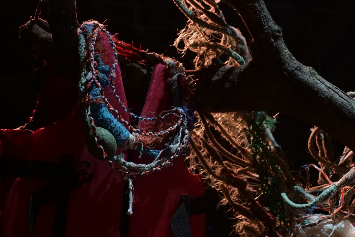 Comme les saumons et les truites