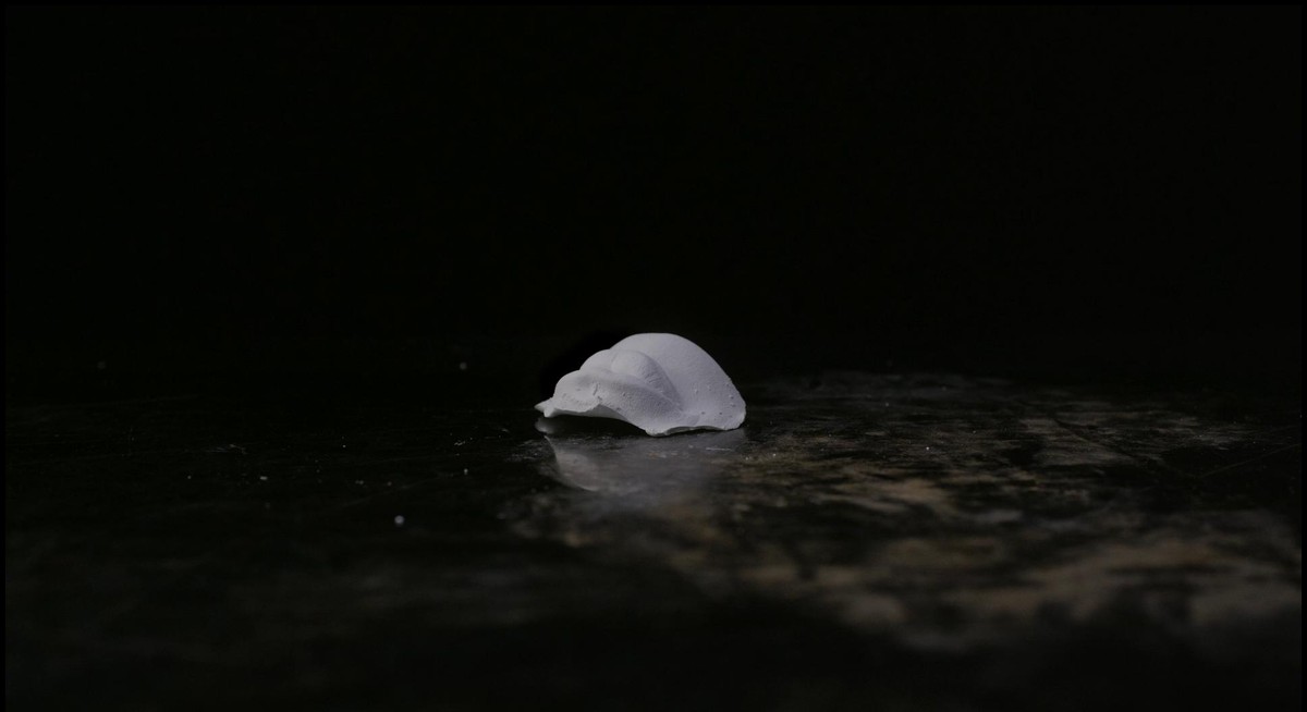 The Bird / D'après une performance de Gauche – donnée le 19.01.23 au Fresnoy - Studio national des arts contemporains