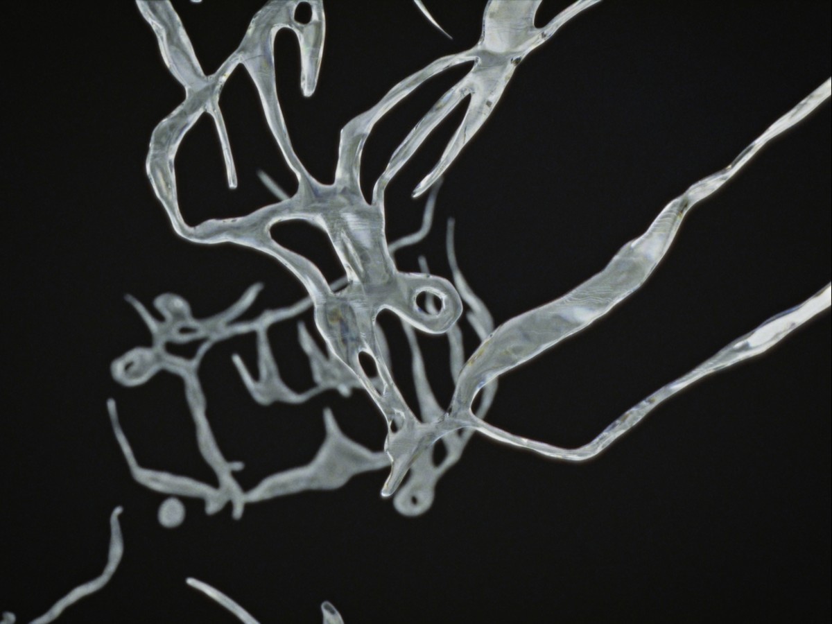 Le disque de poussière