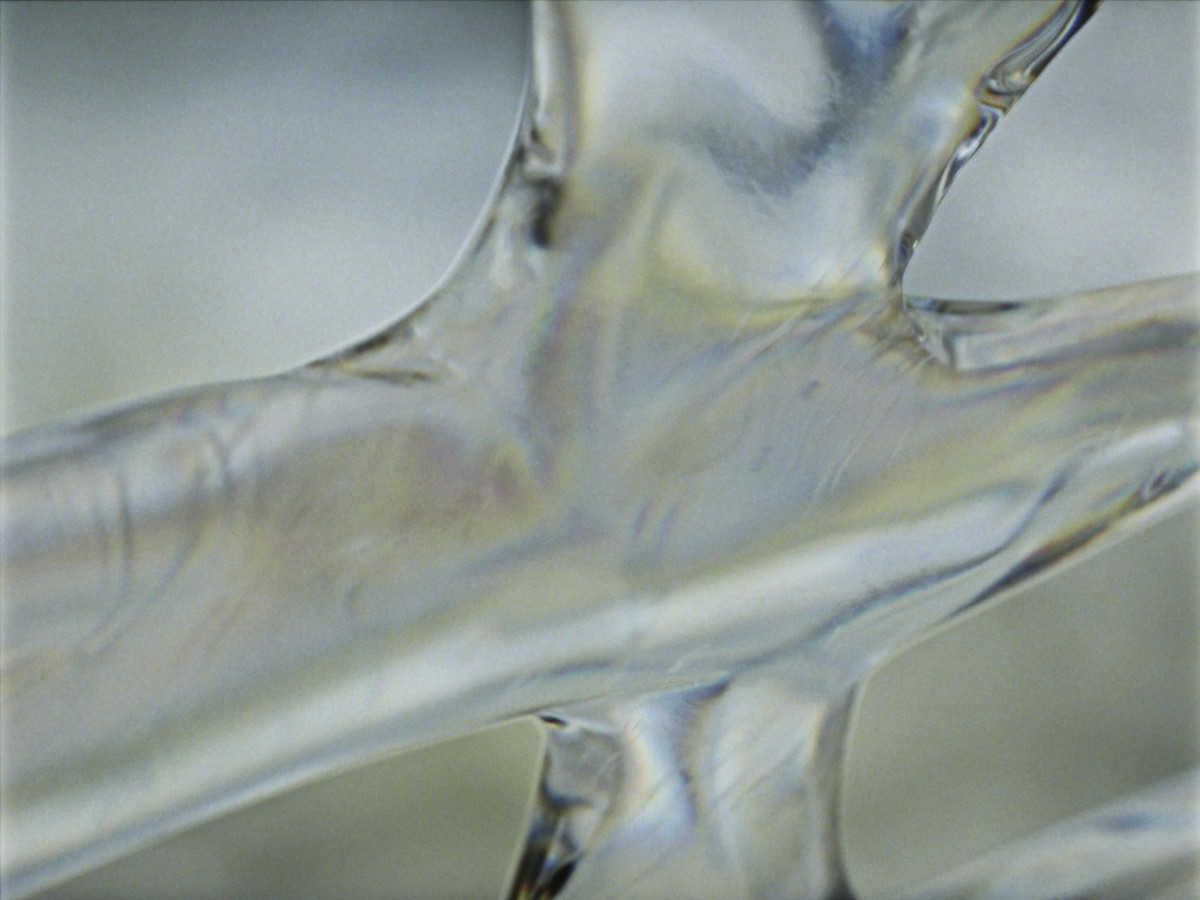 Le disque de poussière