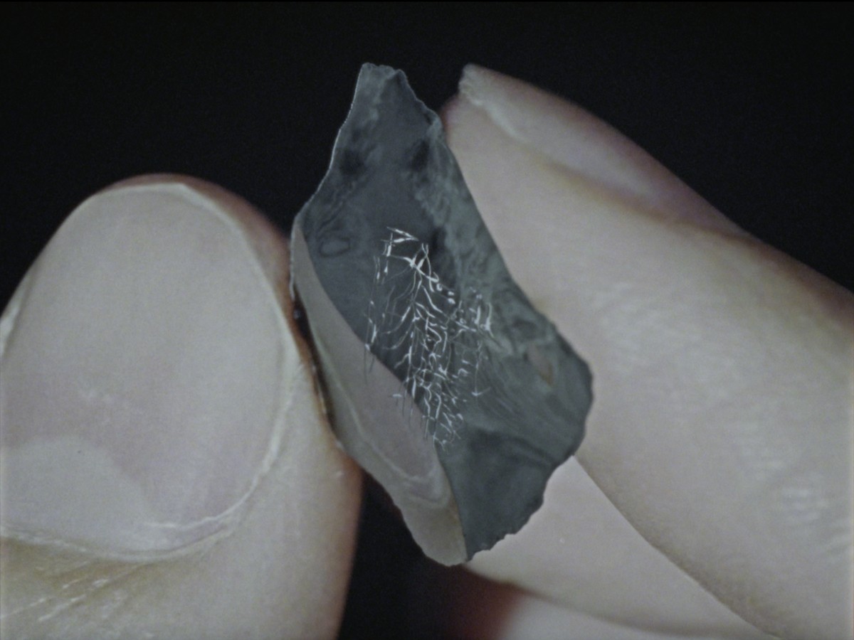 Le disque de poussière