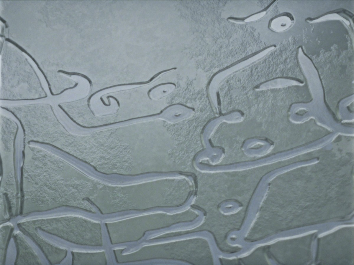 Le disque de poussière