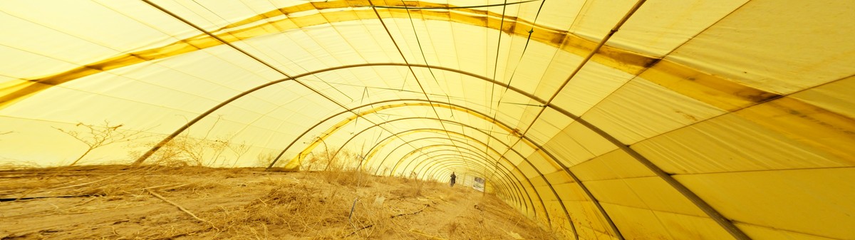 One Big Economy of the Sun