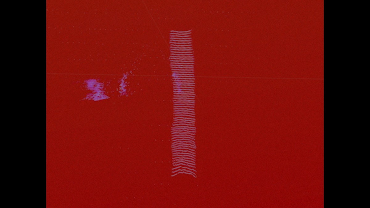 La Construcción de un Árbol / La Construction d'un arbre