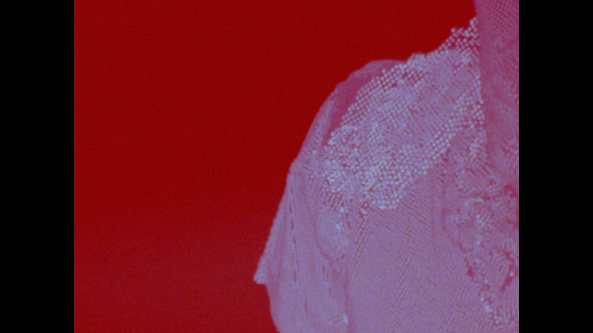 La Construcción de un Árbol / La Construction d'un arbre