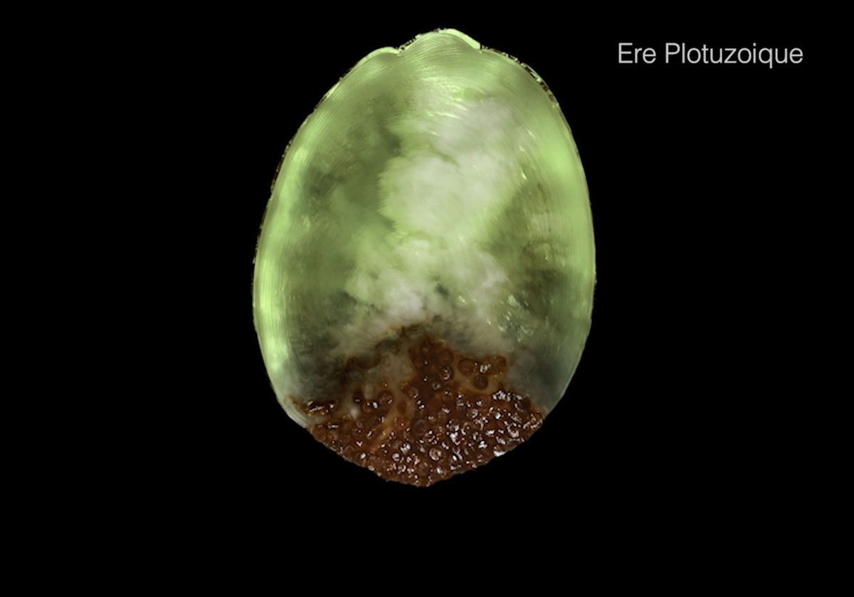 Le plus vieux film du monde