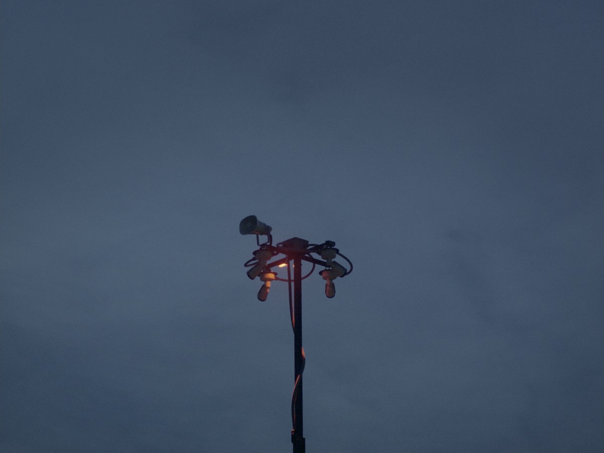 Omens Bloom in the Dark