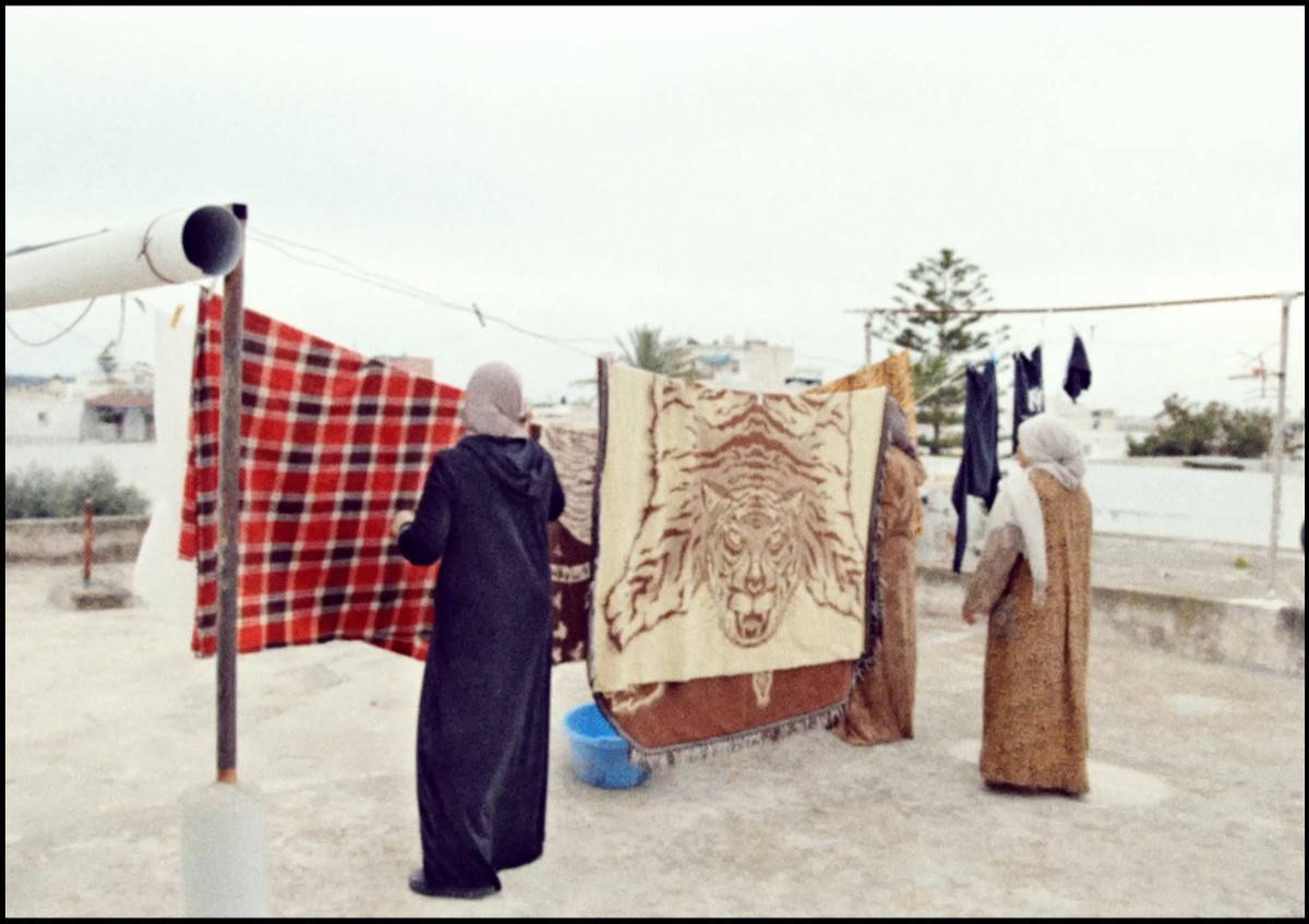 Between Them, Two Mountains and Two Seas