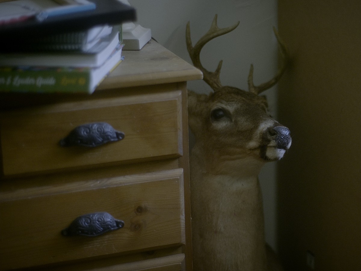 Omens Bloom in the Dark