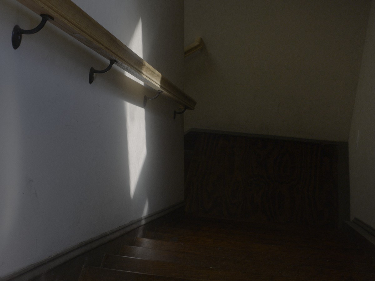 Omens Bloom in the Dark