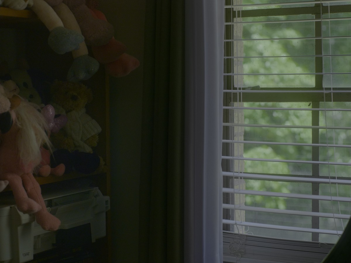 Omens Bloom in the Dark