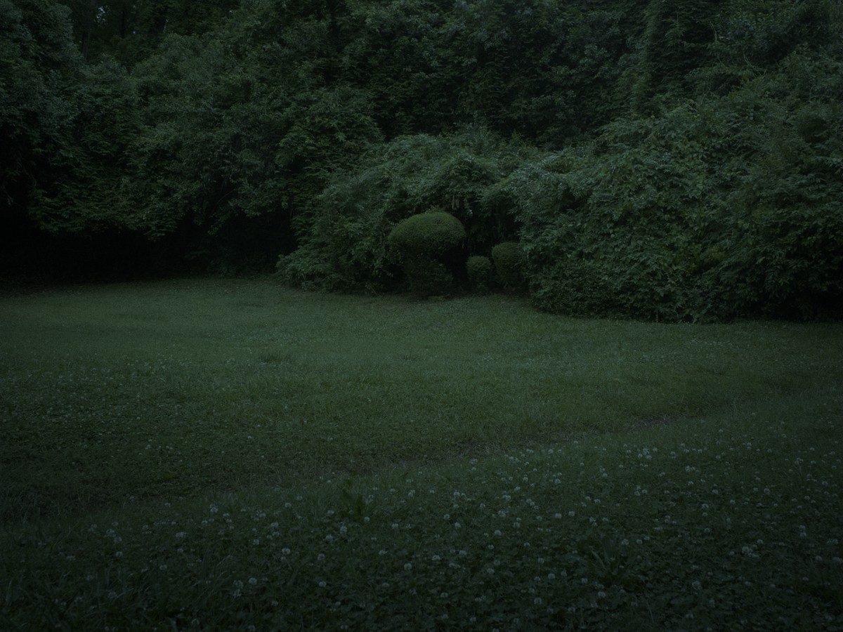 Omens Bloom in the Dark