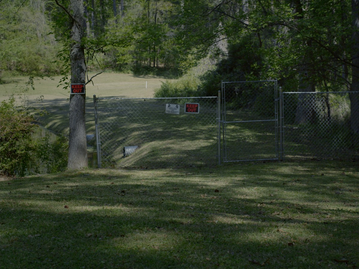 Omens Bloom in the Dark