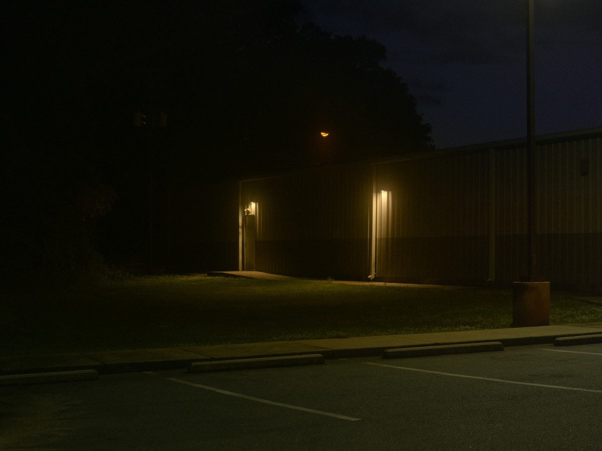 Omens Bloom in the Dark