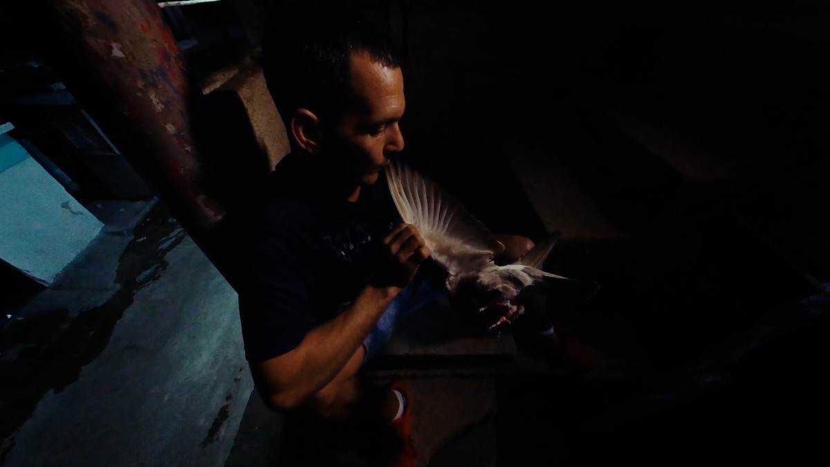 La Juventud es una Isla