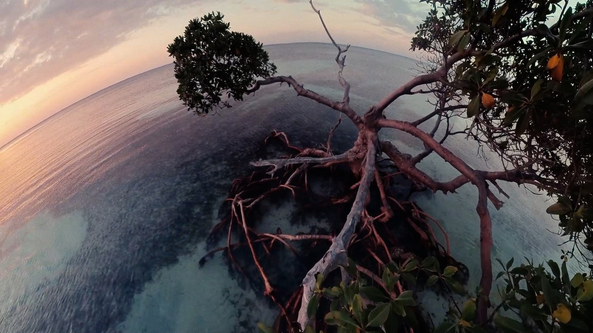 La Juventud es una Isla
