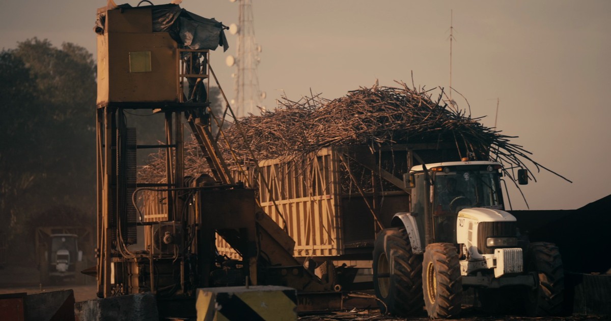 Les champs de la colonisation