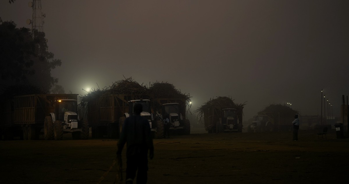 Les champs de la colonisation