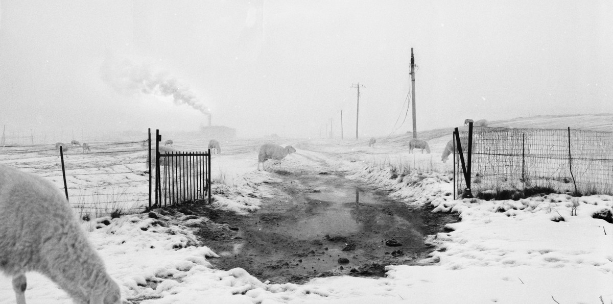 蜉生一夢 / L'ÉPHÉMÈRE