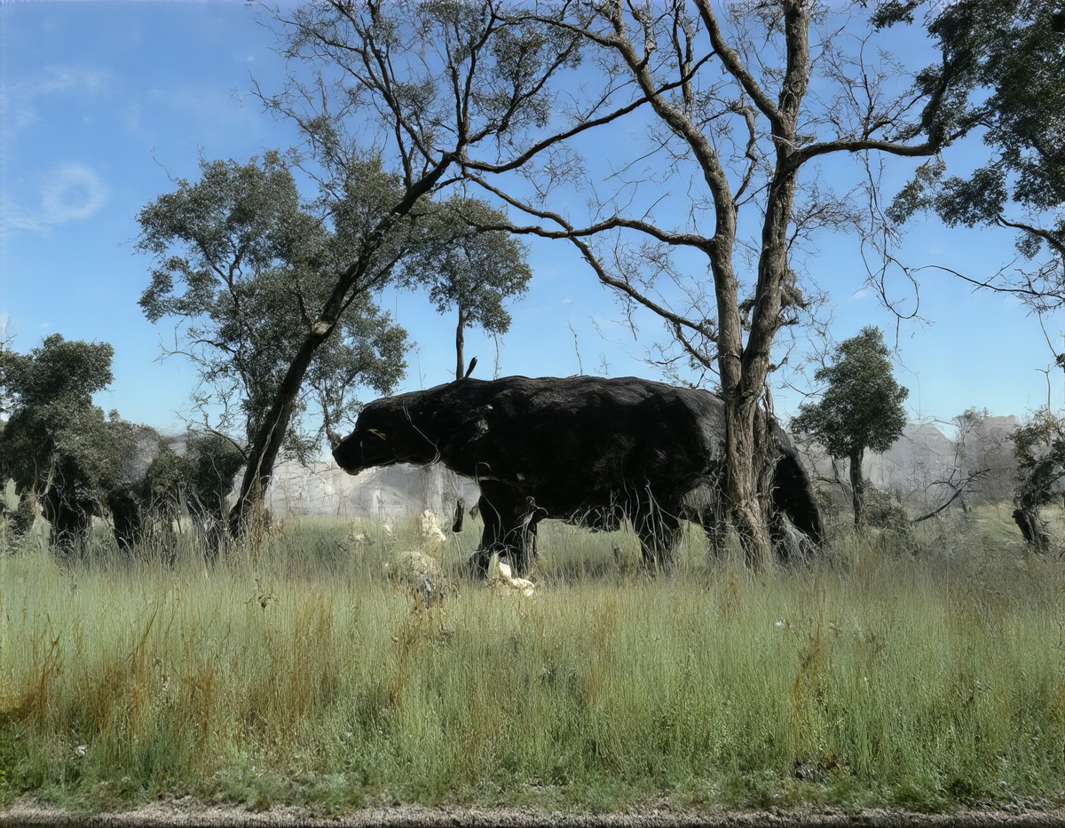 Le Jardin des mutations