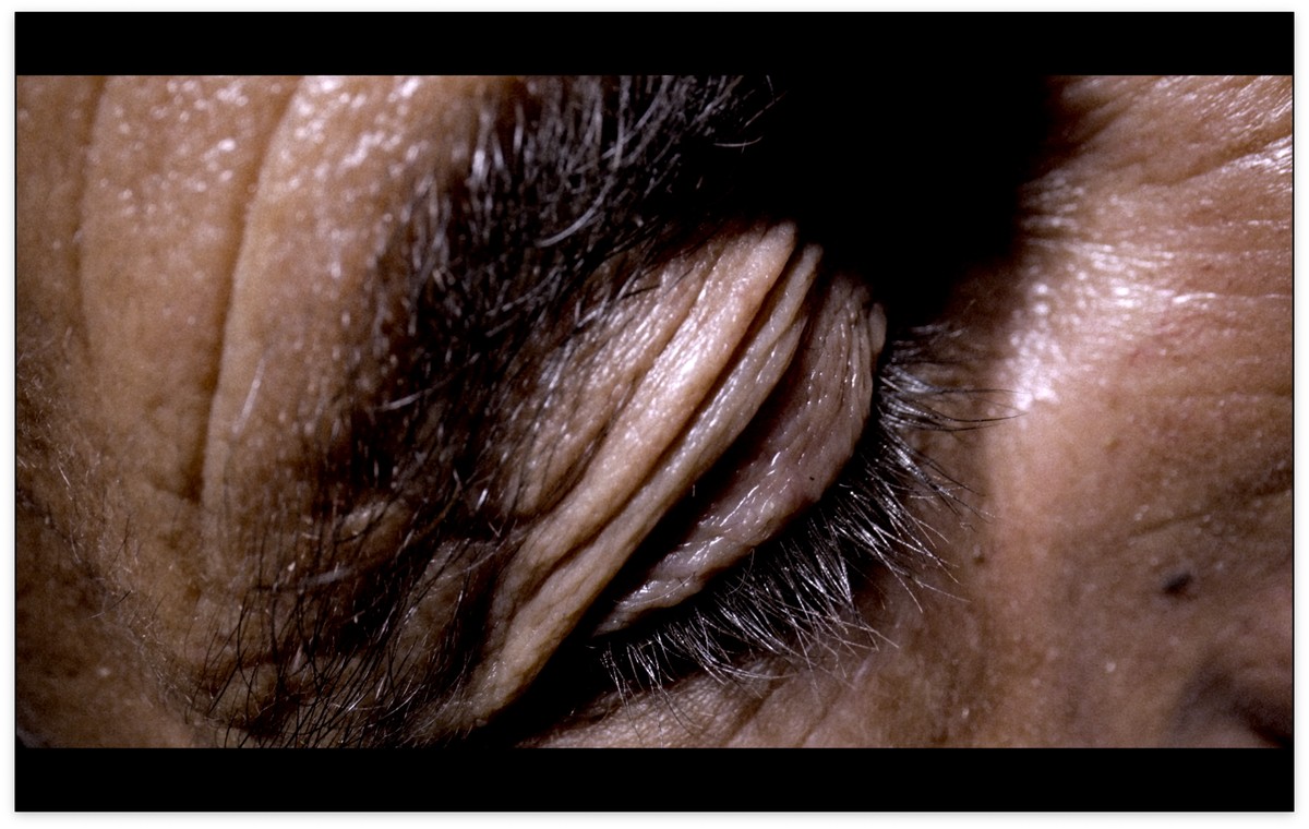 Il ne reste que la beauté de ces étoiles / كُلُّ ما تَبَقّى هو جمالُ هذهِ النُّجومِ