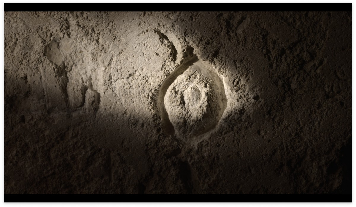 Il ne reste que la beauté de ces étoiles / كُلُّ ما تَبَقّى هو جمالُ هذهِ النُّجومِ