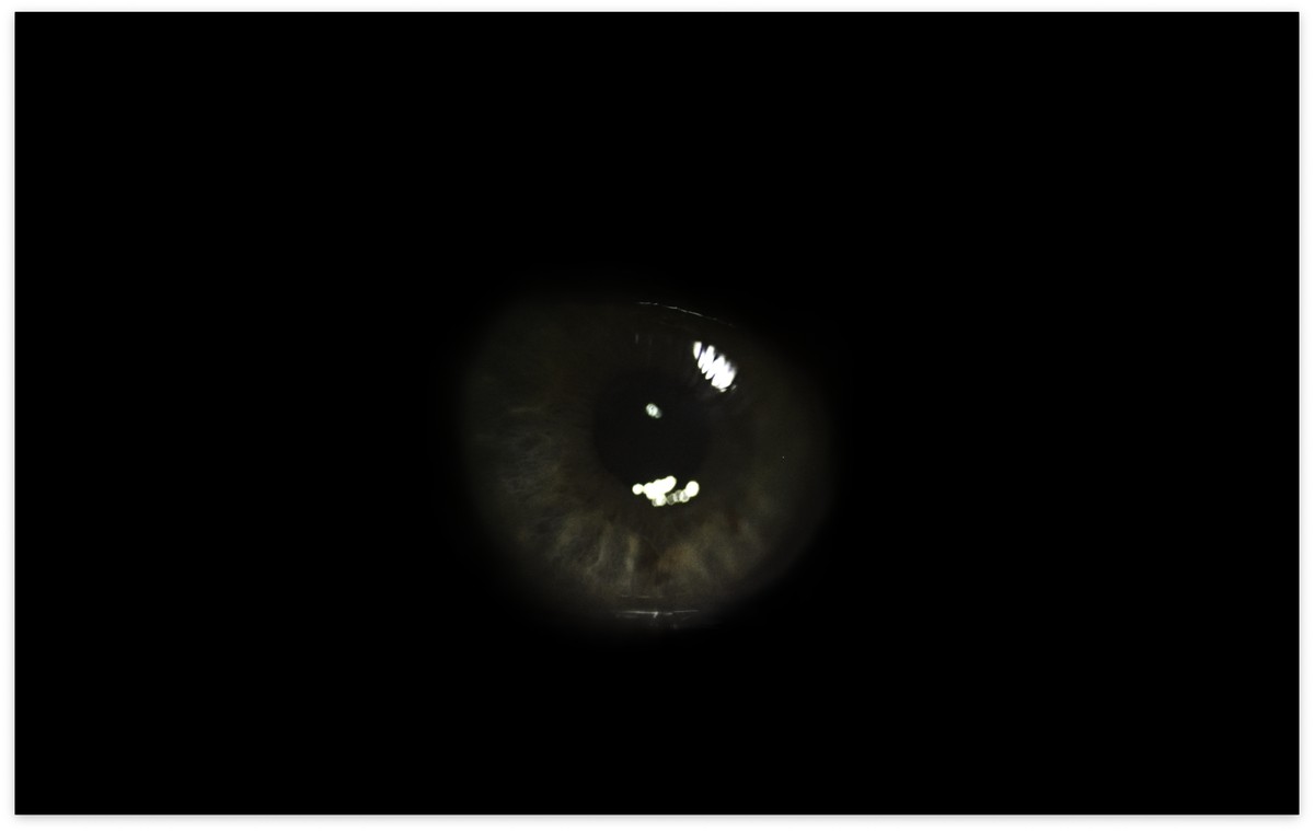 Il ne reste que la beauté de ces étoiles / كُلُّ ما تَبَقّى هو جمالُ هذهِ النُّجومِ