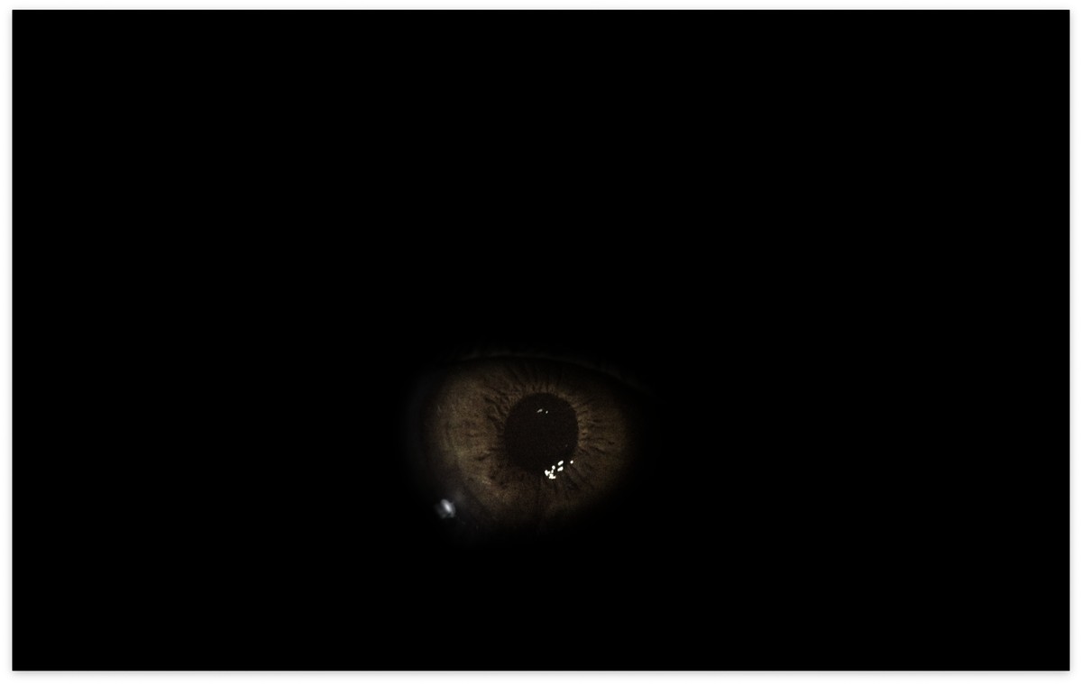 Il ne reste que la beauté de ces étoiles / كُلُّ ما تَبَقّى هو جمالُ هذهِ النُّجومِ