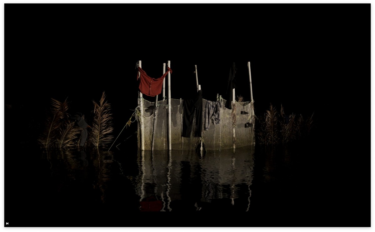 Il ne reste que la beauté de ces étoiles / كُلُّ ما تَبَقّى هو جمالُ هذهِ النُّجومِ