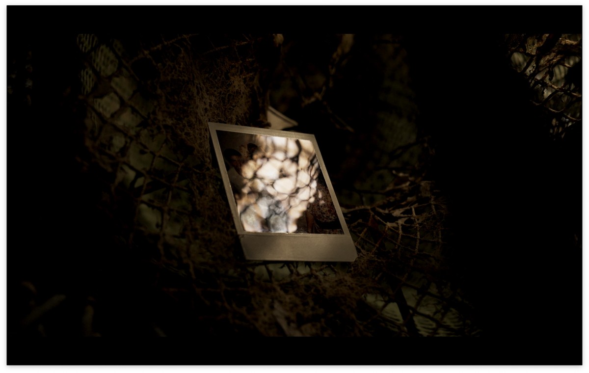 Il ne reste que la beauté de ces étoiles / كُلُّ ما تَبَقّى هو جمالُ هذهِ النُّجومِ