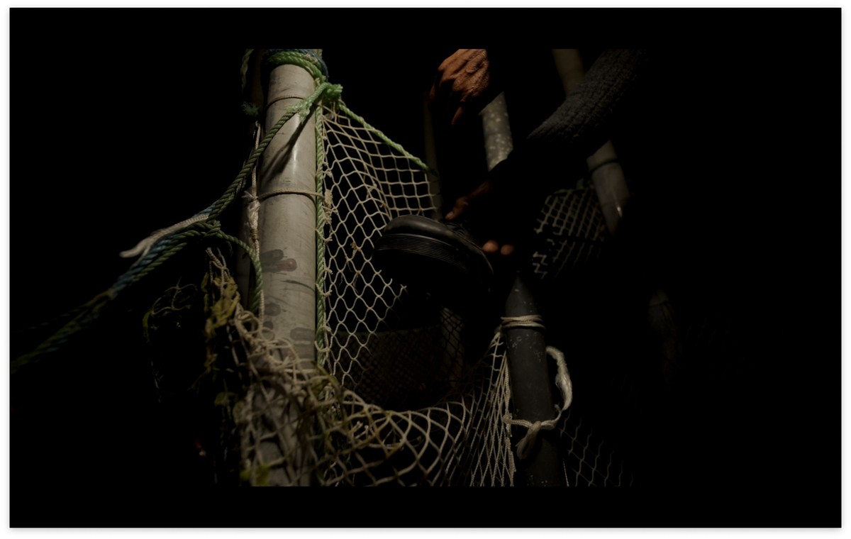 Il ne reste que la beauté de ces étoiles / كُلُّ ما تَبَقّى هو جمالُ هذهِ النُّجومِ