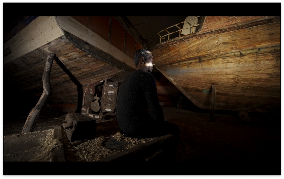 Il ne reste que la beauté de ces étoiles / كُلُّ ما تَبَقّى هو جمالُ هذهِ النُّجومِ