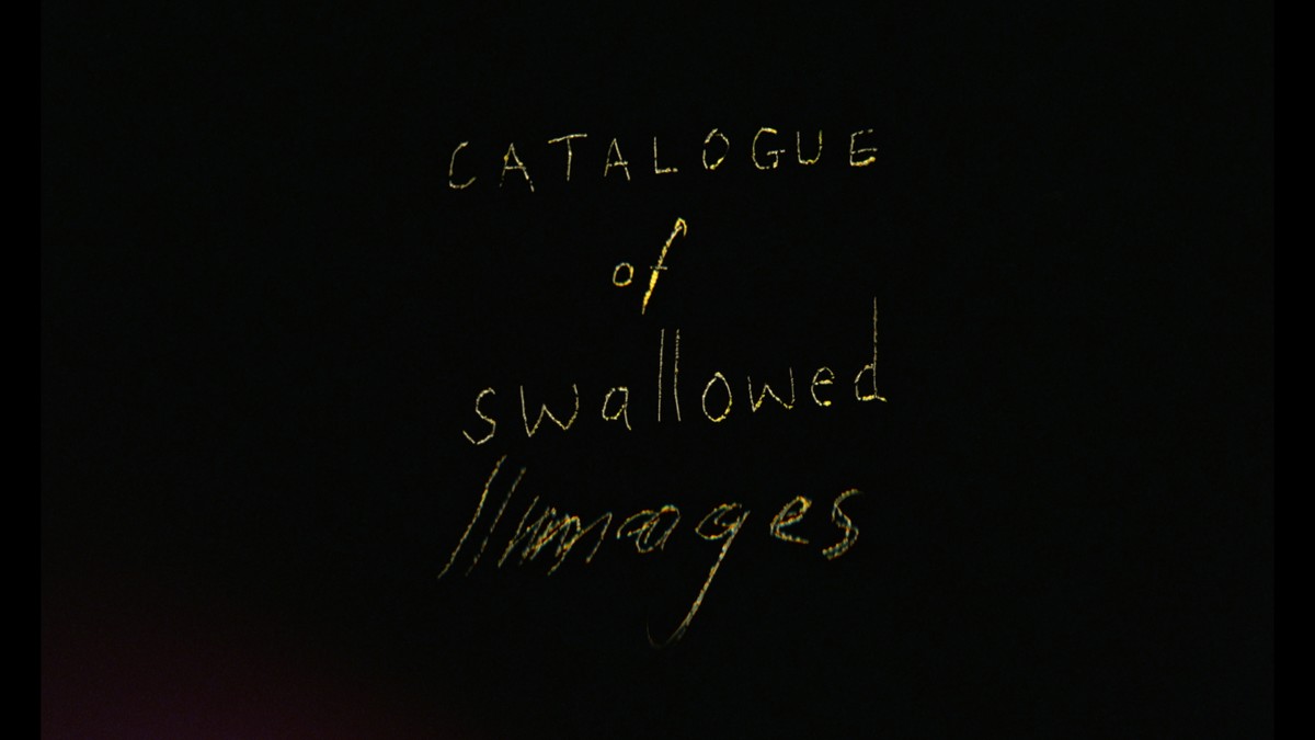 Catalogue of Swallowed Images