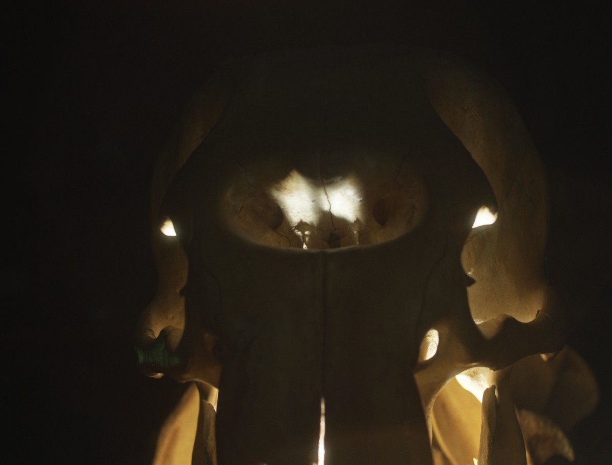 King of Cyborg Elephant