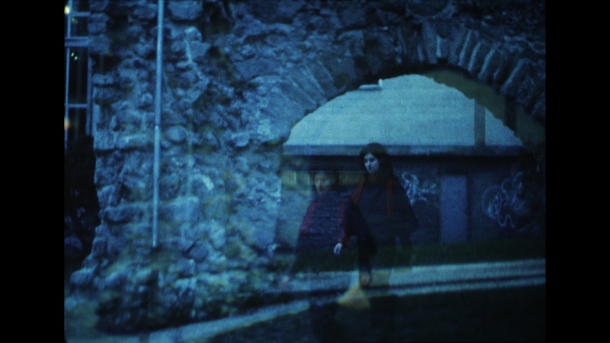 Catalogue of Swallowed Images