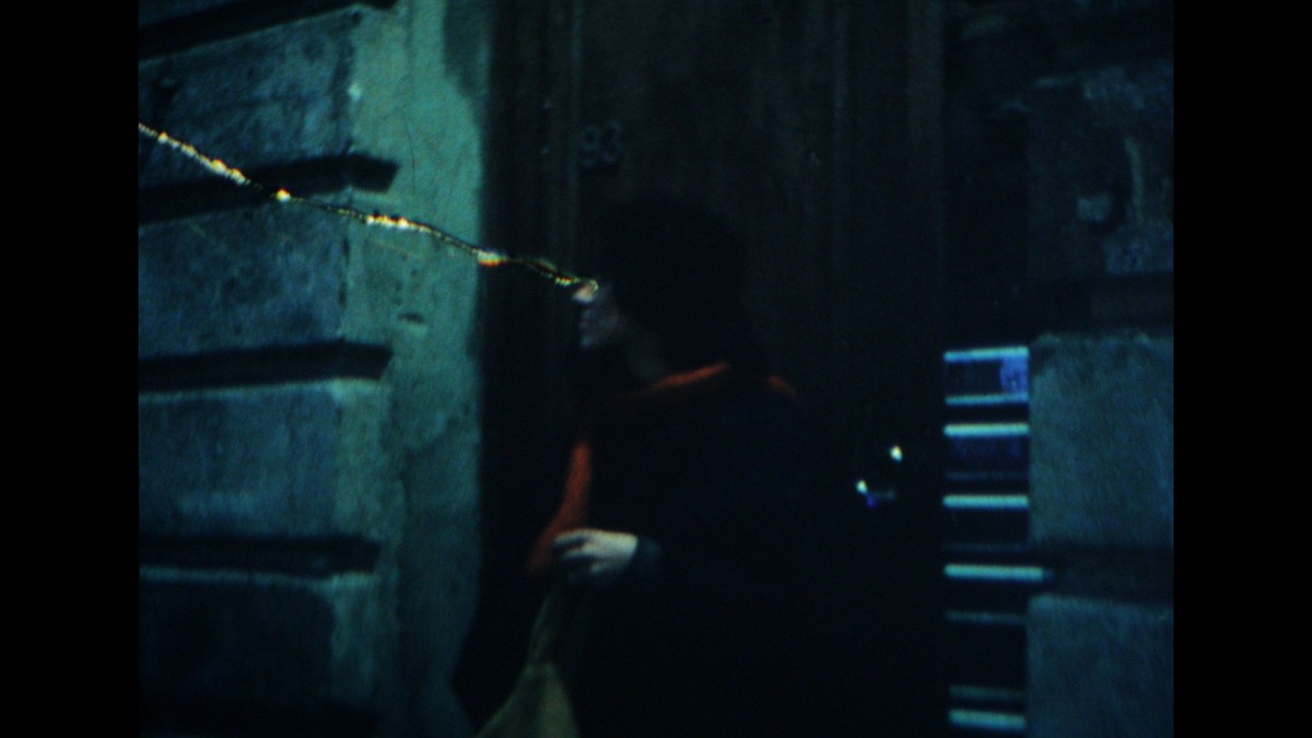 Catalogue of Swallowed Images